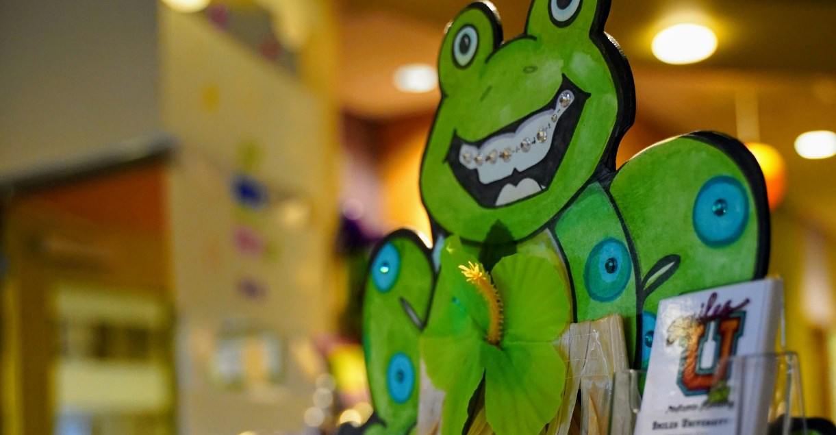 Decorative frog with braces