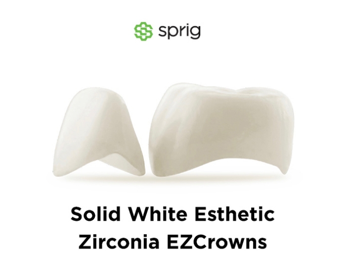 Two Sprig zirconia dental crowns prior to placement